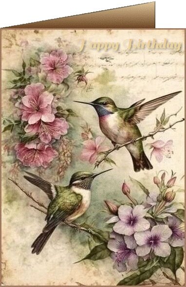 Birthday Ecards for Females