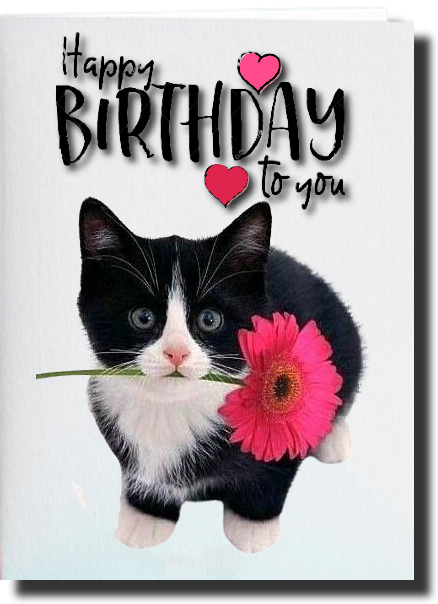 birthday cards for the girls