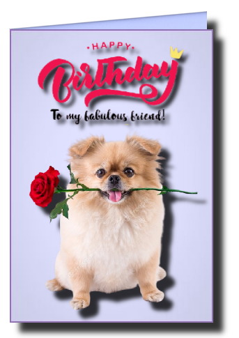 birthday cards for the girls