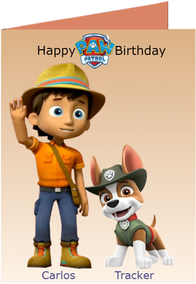 pawpatrol birthday