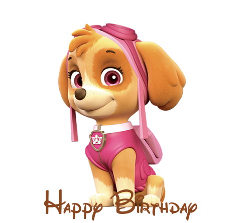 pawpatrol birthday