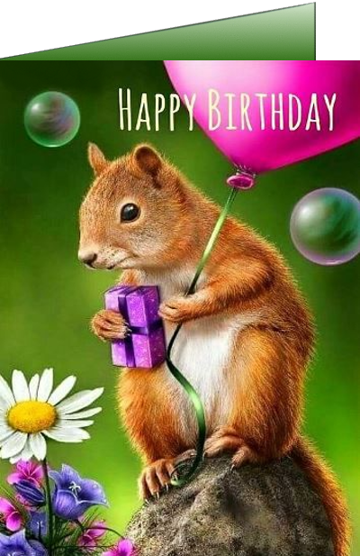 Squirrel Birthday eCards