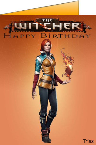 the witcher